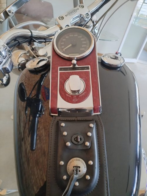 2004 Harley Davidson Softail Standard
